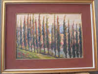 22- Cipressi Maderno sul Garda-37x26-1963