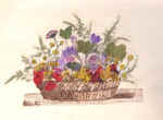 cestinoinfiore.jpg (108820 byte)