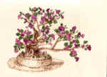 ciliegioinfiore.jpg (114230 byte)