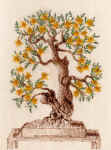 giallograsso.jpg (149616 byte)
