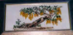 maggiociondolo.jpg (88014 byte)