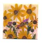 cespugliogiallo.jpg (112122 byte)