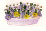 cestoinfiore.jpg (99715 byte)