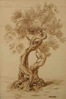 Amore cm 41x61 - collez. privata Imola