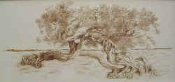 La_Danza_della_Vita.jpg (313476 byte)