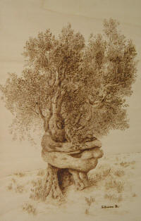 Accoglienza - cm. 41x61 - coll.privata Bologna