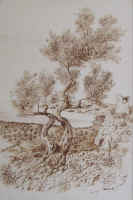 Dalla Mia Torre - 41x61 collez. privata - USA
