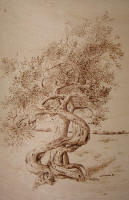 Danza Libera - cm 40 x 60 - Coll. privata Imola (BO)