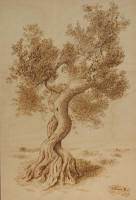 Desiderio di Vivere - collez. privata Bologna