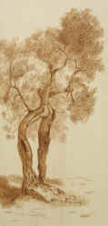Donna Ferita - cm 60 x 125