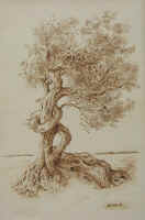 Doppia Natura - cm. 41x61 