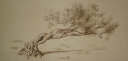 Guardare Lontano -  cm. 70x40