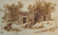 Il Tempo Racconta - cm. 60x38