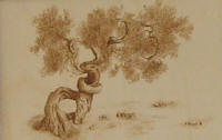Intima Fusione - cm. 61x41