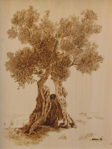 La Preghiera dell'Ulivo Amico - cm.45x55