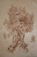 La Forza.- 50x70 - coll. privata - Rimini