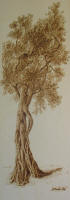 Passione - 30x84 - collez. privata Francia