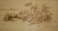 Percorsi Tortuosi - cm.  83x45,5