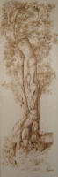 Piangi Uomo - cm,50x183 - coll. privata Imola (BO)