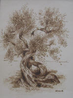 Ricerca - 30x40 - coll. privata- Sava (TA)