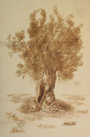 Tranquillo Riposo - cm 41x61 - collez. privata - Tricase (LE)