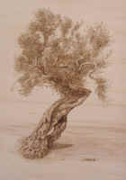 Se la Vita Ti Piega - 50x70 - coll. privata - Lecce