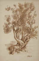 Sogno d'Amore - cm 41x61 - collezione privata Imola