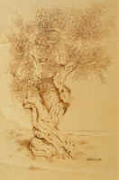 Tana - cm 40x60 - coll. galleria Tedofra Bologna