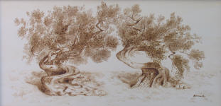 Vanità - cm. 125x60