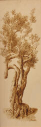 Vite Parallele - 30x84